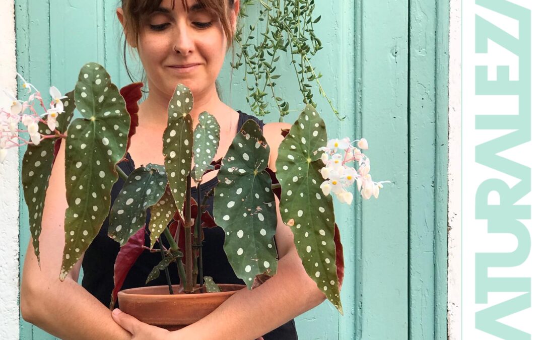 Alba Núñez: vivo en la ciudad rodeada de plantas y mi vida diaria está totalmente ligada a ellas